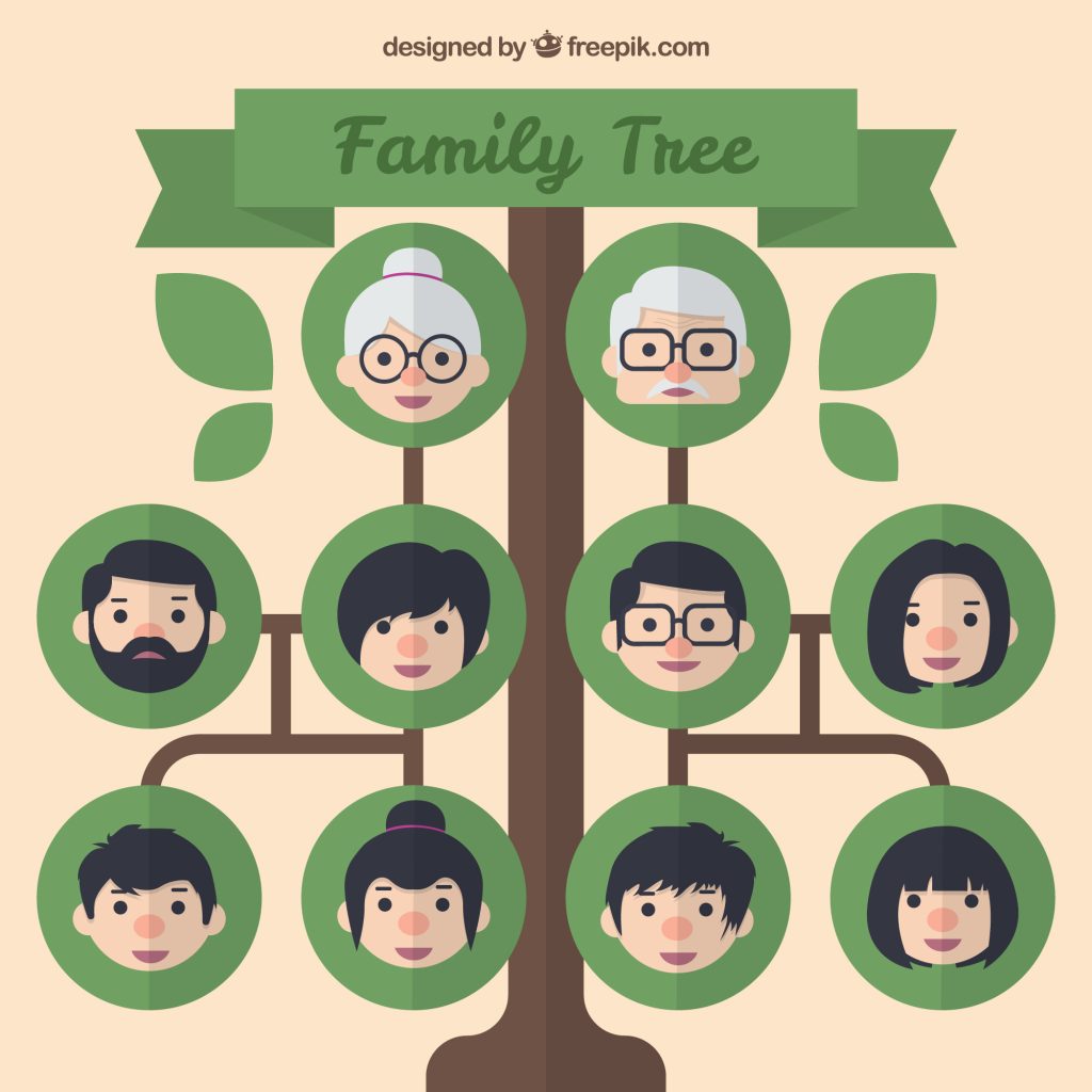 desenho árvore genealógica